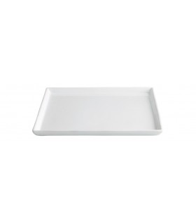 PLATO ALA 8X8X2 CM