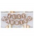 Guirnalda boda "Just Married"