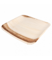 Plato Areca cuadrado 24x24x2 cm