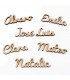 Nombre personalizado para plato