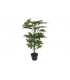 Planta PVC Fatsia Japónica 64x64x90 cm