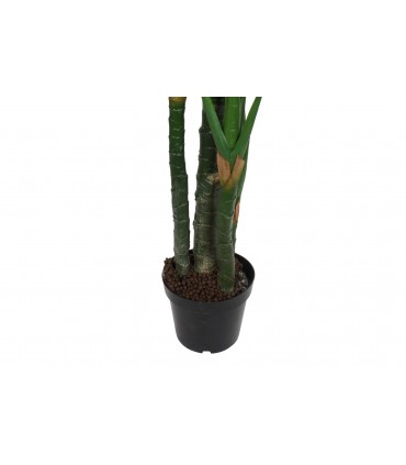 Planta EVA Costilla de Adán 90x90x200 cm