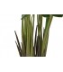 Planta Lirio PE de agua verde 50x50x100 cm