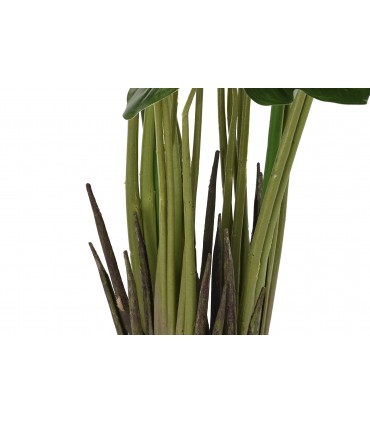 Planta Lirio PE de agua verde 50x50x100 cm