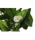 Planta Lirio PE de agua verde 50x50x100 cm
