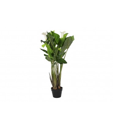 Planta Lirio PE de agua verde 50x50x100 cm