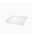 Plato cuadrado transparente