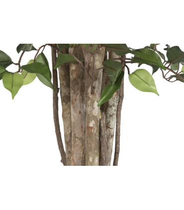Almendro blanco PVC 80x80x200 cm