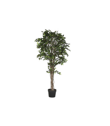 Almendro blanco PVC 80x80x200 cm