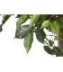 Almendro blanco PVC 80x80x200 cm