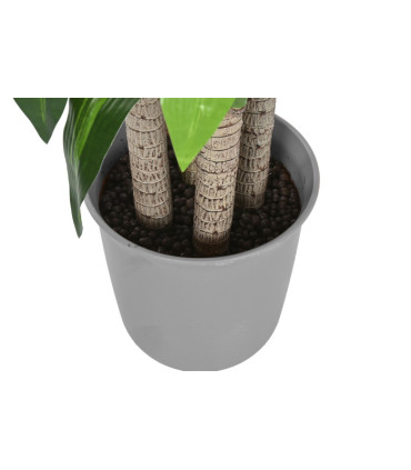Planta PE Dracaena 80x80x180 cm