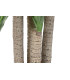 Planta PE Dracaena 80x80x180 cm