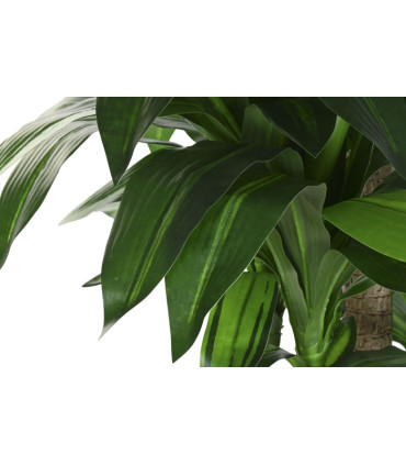 Planta PE Dracaena 80x80x180 cm