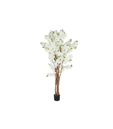 Árbol almendro 80x80x200 cm