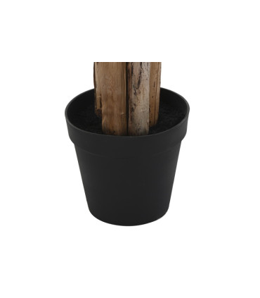 Planta PVC bananera 90x90x240 cm