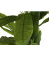 Planta PVC bananera 90x90x240 cm