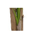Planta PVC bananera 90x90x240 cm