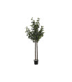 Planta poliéster eucalipto 90x90x180 cm