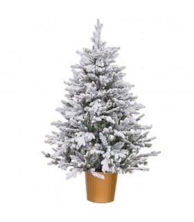 Navidad